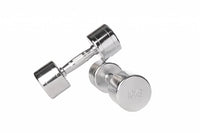 Lifemaxx Chroom Dumbbell - Set van 2 - Productafbeelding