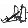 Toorx Professional WBX-B3800 Olympische Halterbank Incline - Hoofdafbeelding