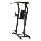 Inspire VKR Vertical Knee Raise - Power Tower - In gebruik