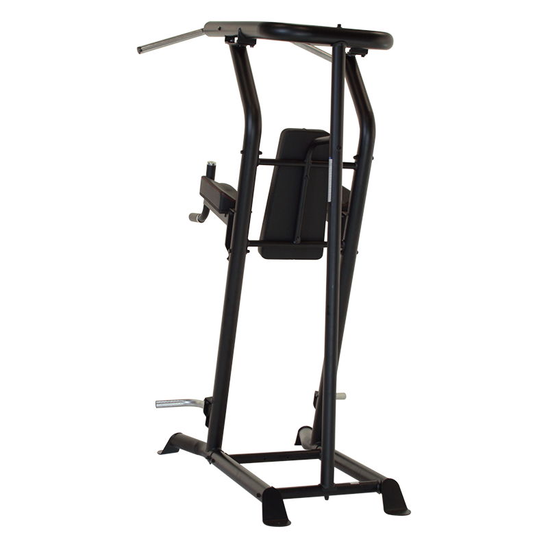 Inspire VKR Vertical Knee Raise - Power Tower - In gebruik