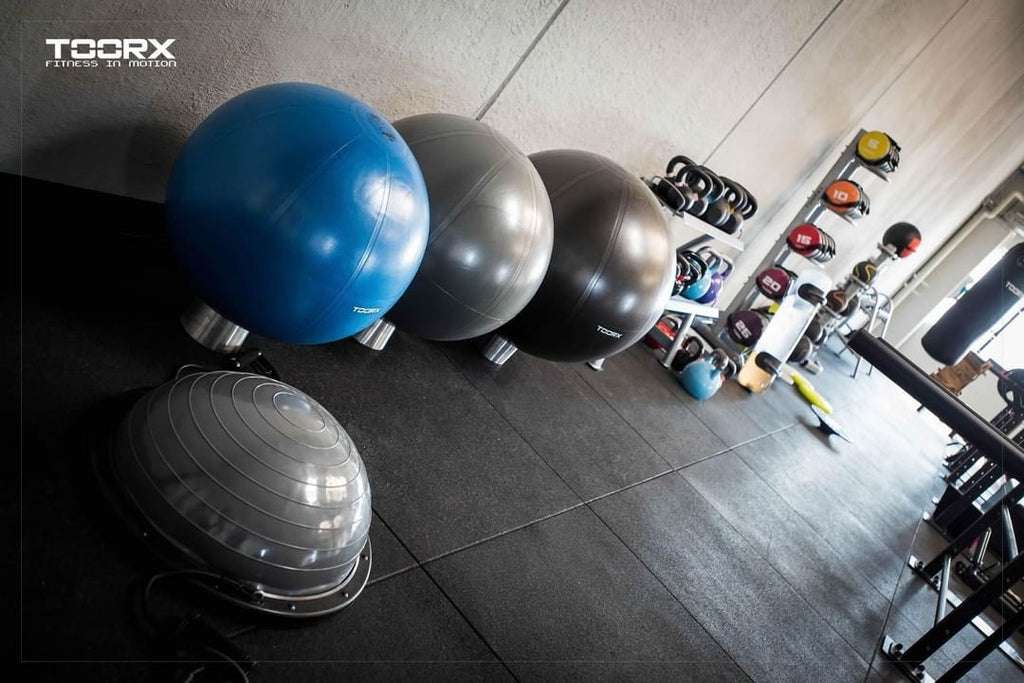 Toorx Fitnessbal Gymbal PRO Grijs - 65 cm - Aanzicht