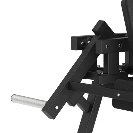 Toorx Professional Avant Lateral Raise FWX-6500 - Aanzicht