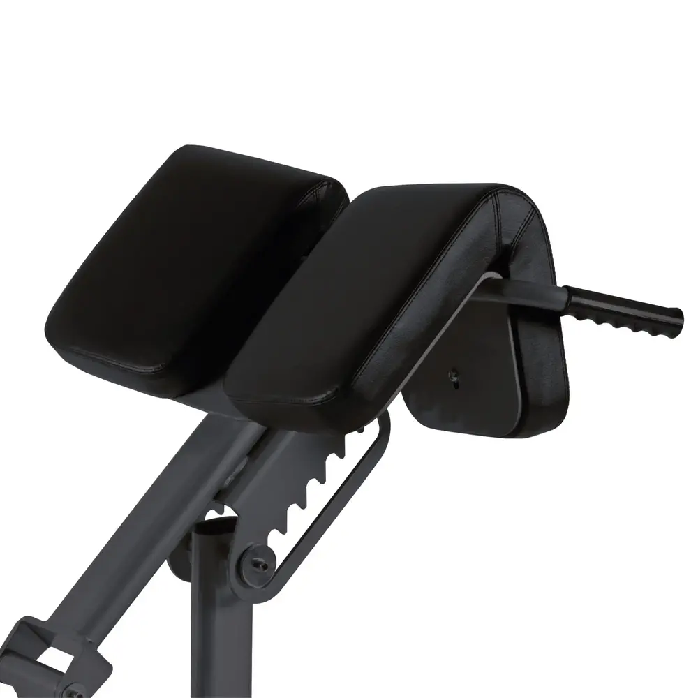 Toorx Professional WBX-B2600 Back Extension - Aanzicht