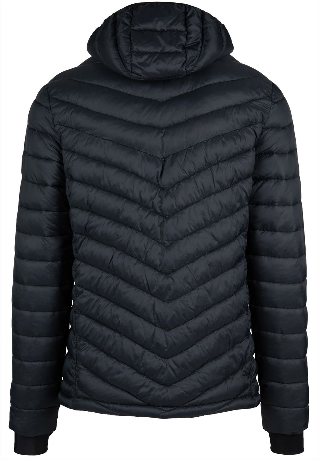 Gorilla Wear Osborn Puffer Jas - Zwart - Afbeelding 11