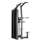 Toorx Professional Assisted Pull Up / Chin Up / Dip PLX-6350 - Detail