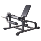 Toorx Professional Aktiv Leg Extension FWX-4800 - Hoofdafbeelding