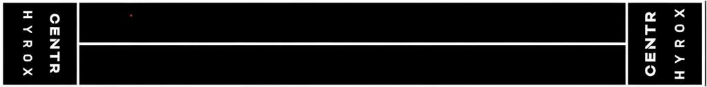 Centr x HYROX Perform Turf - 2 banen met eind zones - met logo - Logo